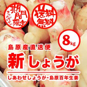 和歌山県産 新しょうが 秀品 Lサイズ 4kg （箱） 国産 新生姜 生姜