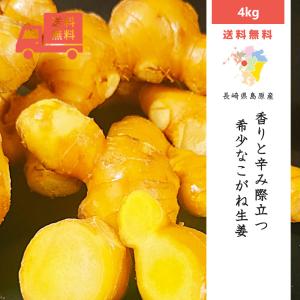 松本農園の熟成黄金生姜［4kg］ 長崎県産 島原半島