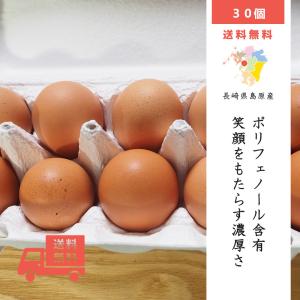 幸せの愛でたまご 松本ポートリーの口笑たまご ［30個］