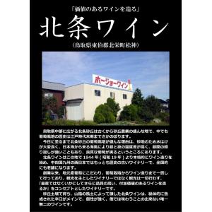 とっとり二十世紀梨ワイン 500ml(鳥取県の...の詳細画像3