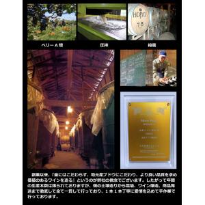 とっとり二十世紀梨ワイン 500ml(鳥取県の...の詳細画像4