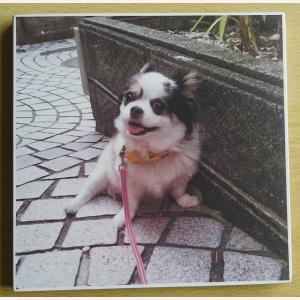 (写真陶板(フォトセラミックス)ft-colo...の詳細画像3