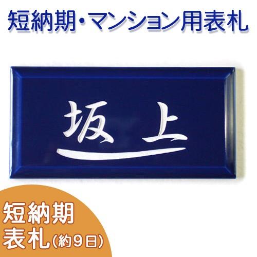 （短納期）（タイル表札） 彫り文字が印象的な艶のある深いブルーのプチサイズタイル表札。メゾン ブルー...