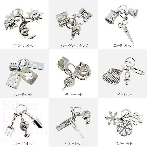 英国製 シルバーラッキーチャーム 小型 アストラルセット バードウォッチング ニードルセット カード...