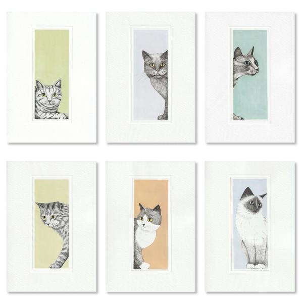 英国製 グリーティングカード 猫 Kate Mawdsley メール便OK