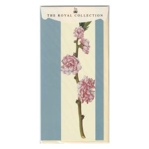 英国製 グリーティングカード ザ・ロイヤルコレクション Peach Blossom 封筒つき｜touche