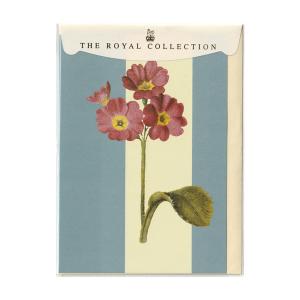 英国製 グリーティングカード ザ・ロイヤルコレクション Cabbage Rose 封筒つき｜touche