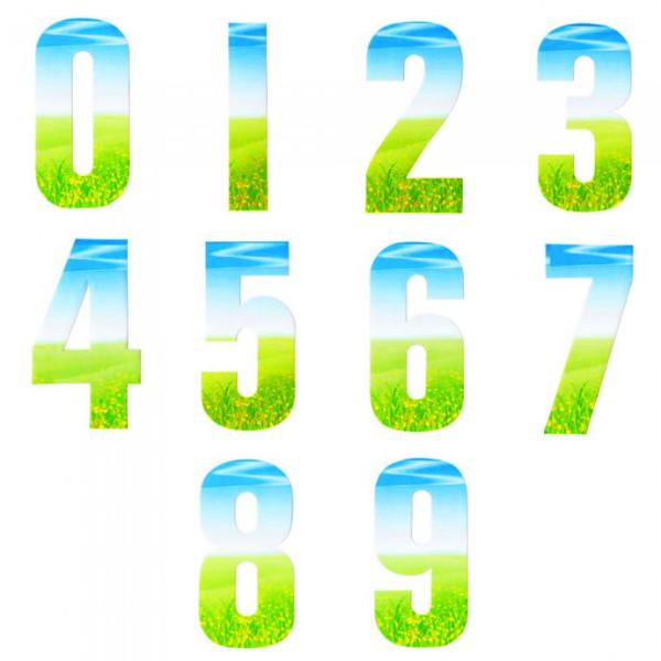 数字シール グラス 草原 Sサイズセット 英国 Rowan Sticker メール便OK