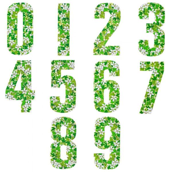 数字シール アイビー Sサイズセット 英国 Rowan Sticker メール便OK