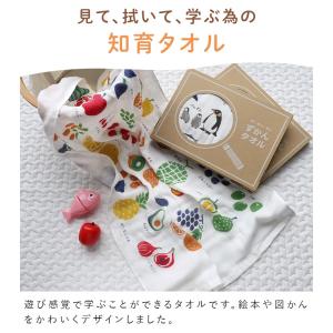 ガーゼタオル ミニバスタオル ずかんタオル 日...の詳細画像2