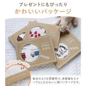 ガーゼタオル ミニバスタオル ずかんタオル 日...の詳細画像5