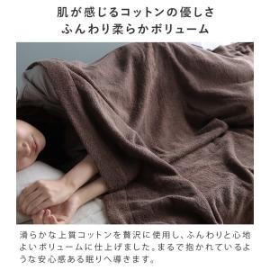 タオルケット 今治タオル HOTELS ホテル...の詳細画像3