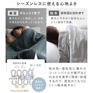 タオルケット 今治タオル HOTELS ホテル...の詳細画像5