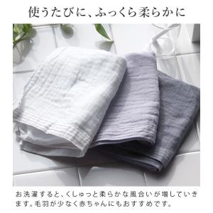 風透る ガーゼタオル フェイスタオル 極薄 速...の詳細画像5