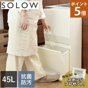分別 ダストボックス ワイド 2段 45L SOLOW 日本製 送料無料