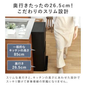 特典付き 分別 ダストボックス ワイド 2段 ...の詳細画像3