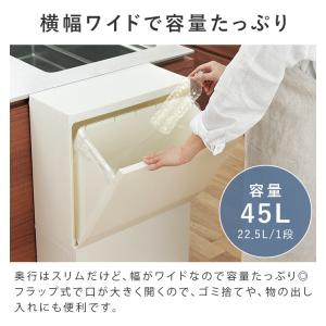 特典付き 分別 ダストボックス ワイド 2段 ...の詳細画像4