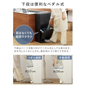 特典付き 分別 ダストボックス ワイド 2段 ...の詳細画像5
