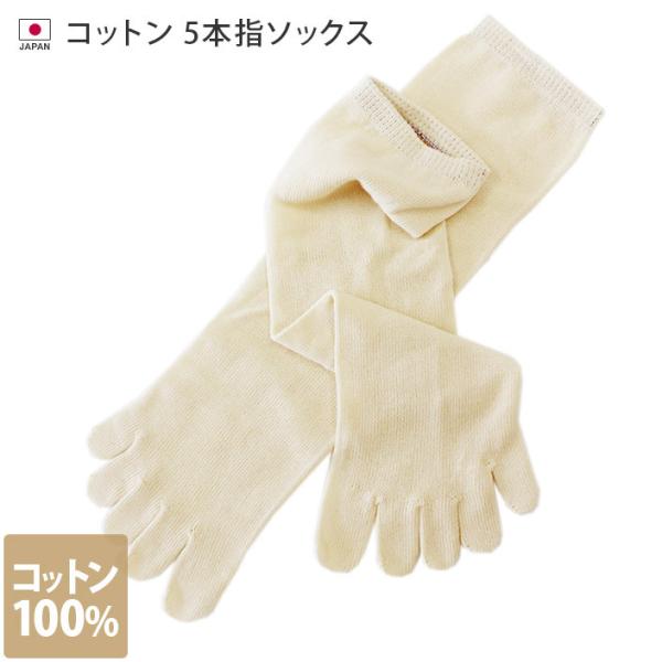 冷えとり 靴下 コットン 5本指 ソックス