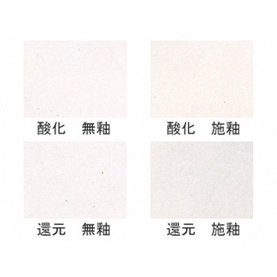 陶芸 粘土 / ホワイト土 1kg