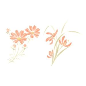 陶芸 下絵具 / 下絵転写紙 2色スイセン・コスモス ピンク