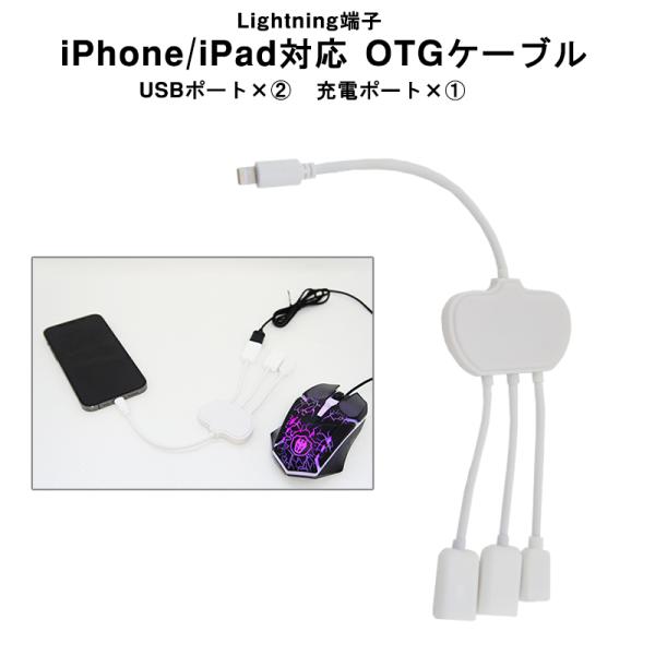 iPhone/iPad対応 OTGケーブル Lightning 給電 USB2ポート ハブケーブル ...