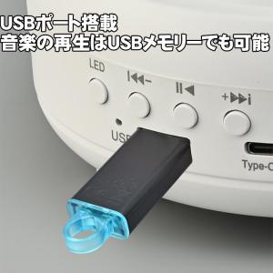プラネタリウム[XY-899] スピーカー付き...の詳細画像3