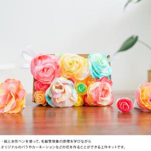 工作キット 小学生 低学年 子供 渡辺教具製作...の詳細画像1