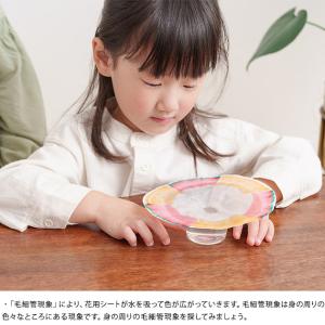 工作キット 小学生 低学年 子供 渡辺教具製作...の詳細画像4