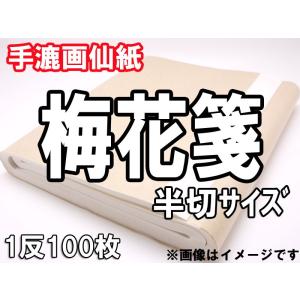 画仙紙　「梅花箋」半切サイズ（３５−１３５ｃｍ）1反１００枚　漢字向き　ニジミ中　墨色良く自然なカスレ具合