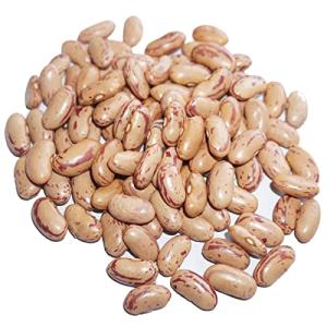 ピントビーンズ ラジマ チットカブラ ピント ビーンズ ピント豆 pinto bean common bean インゲン豆 インゲン (200g