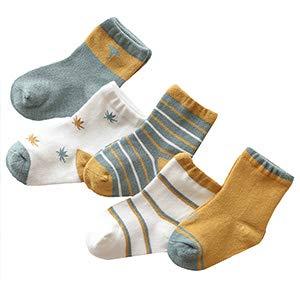 Tengcong 子供 靴下 ソックス ベビー 幼児用 キッズ 綿 メッシュ素材 春秋冬適用 カラフル 女の子 男の子 5足セット (メープルリ