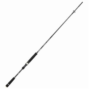 60%OFFセール】 ラテオ BS（ボートシーバス） 73HB ダイワ 新品