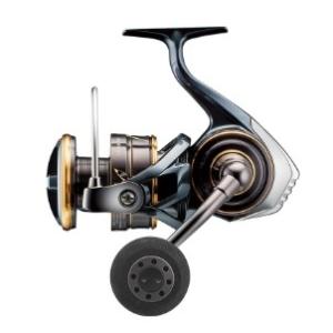 DAIWA（ダイワ） 21カルディア LT3000-CXH スピニングリール : つり具