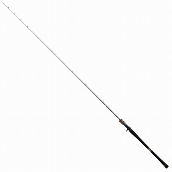 SALTIGA LJ EX 61XHB TG ダイワ 秋の大感謝祭