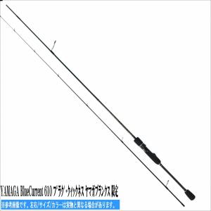 BLueCurrent 610 プラグ クィックネスの高価買取価格