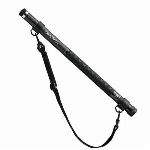 ＬＡＮＤＩＮＧ　ＰＯＬＥ（2）　40