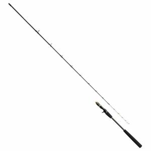 DAIWA（ダイワ） ダイワ20ライトゲームX73MH-190・R【大型商品140
