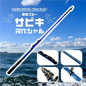 DAIWA（釣り） ダイワ モバイルパック 907TMS ／振り出し