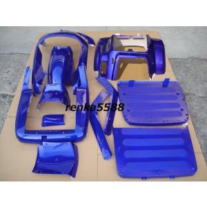 ジャイロキャノピー TA02 TA03 インナー カウル 内装 塗装済み 艶あり