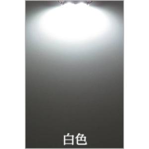 (PSE) LEDモジュール 防水 100V直...の詳細画像1