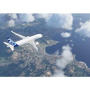 Microsoft Flight Simula...の詳細画像2