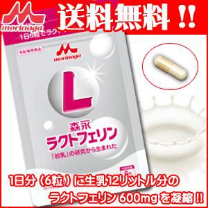 メール便送料無料森永サプリ ラクトフェリンパウチ粒