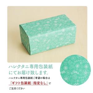九谷焼 ハレクタニ 2種類 選べる 花と鳥 一...の詳細画像5