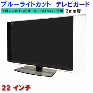 テレビガード 55型 55インチ グレア調 板厚3mm パネルストッパー付属