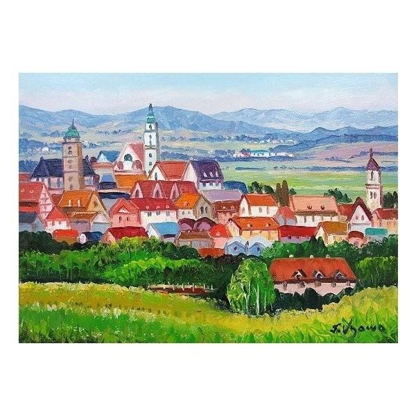 油絵 油彩画 洋画 (油絵額縁付きで納品対応可) WF3 「ぺリゴールの村」 羽沢 清水