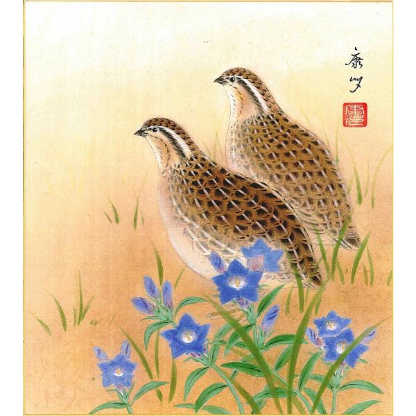 色紙（秋）中西 康多作画「鶉にりんどう」 色紙寸法24.2X27.2cm