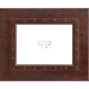 油絵用額縁 6246z