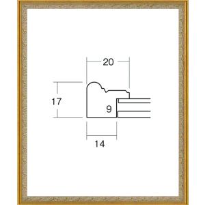 デッサン用額縁 軽量樹脂製フレーム UVカットアクリル 8227 インチ ゴールド