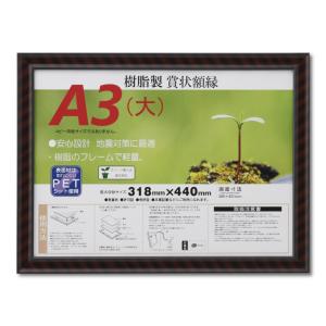 賞状額縁 許可証額縁 樹脂フレーム 金ラック-R PET Ａ３(大)サイズ SP｜touo